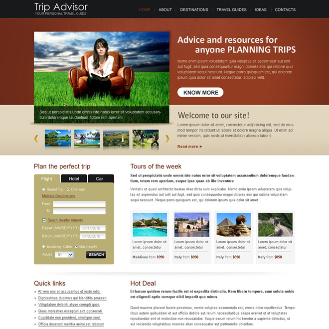 travel advisor